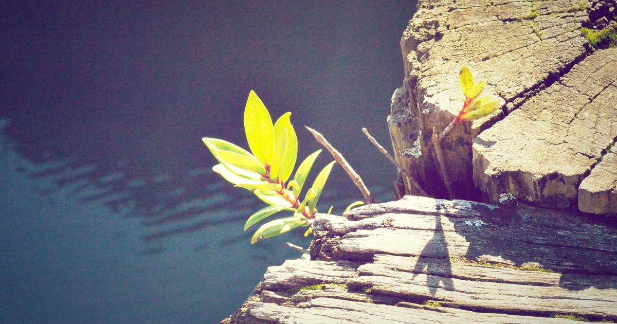 Filtro de rajada automático: como reduzir horas de curadoria em fotos burst