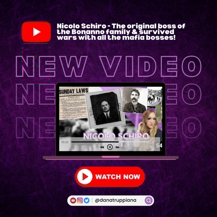 A screen shot of a tv screen with the caption'new video '