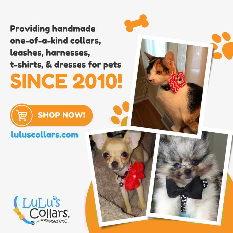 A flyer for a pet store with three pictures of dogs