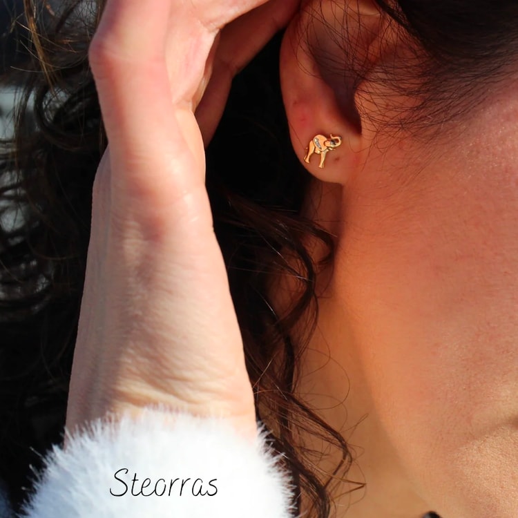 A close up of a person wearing a pair of earrings