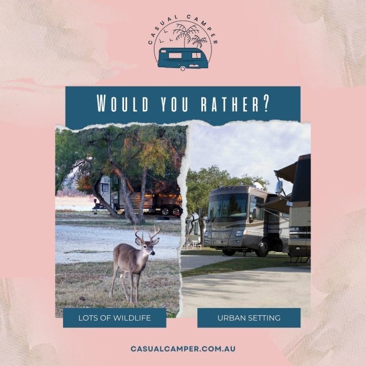 A couple of deer standing next to each other