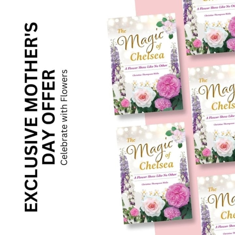 The magic of chelsea book giveaway