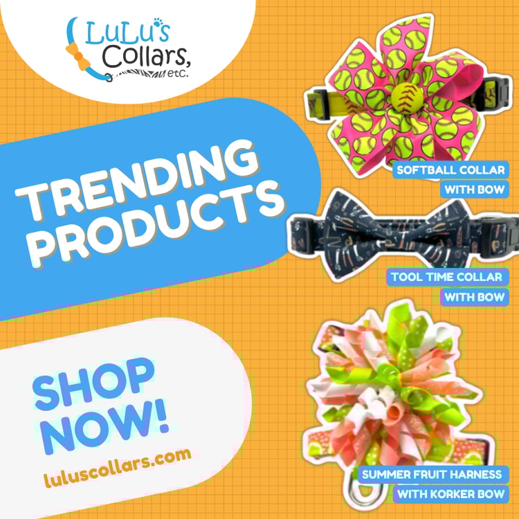 A brochure with a bunch of different items on it