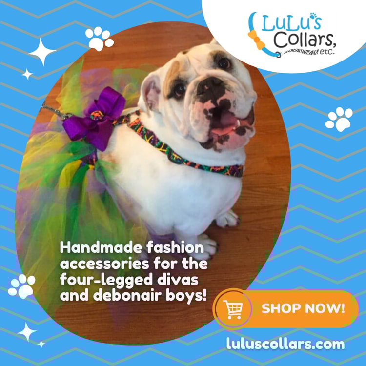 A dog wearing a tutu's collar and a tutu's collar