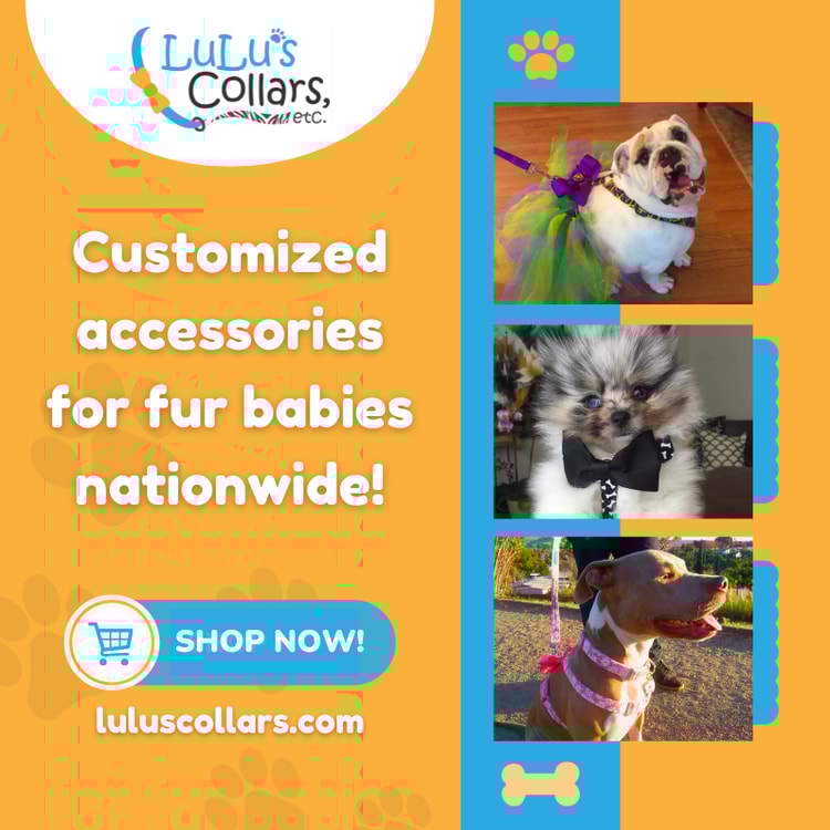 A flyer for a pet store with a dog wearing a bow tie