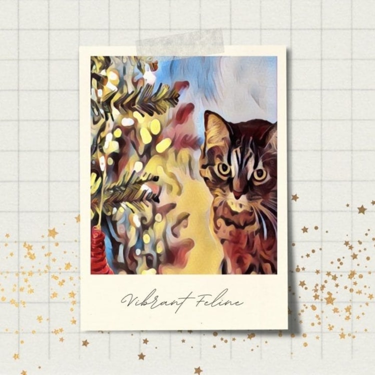 A card with a picture of a cat on it
