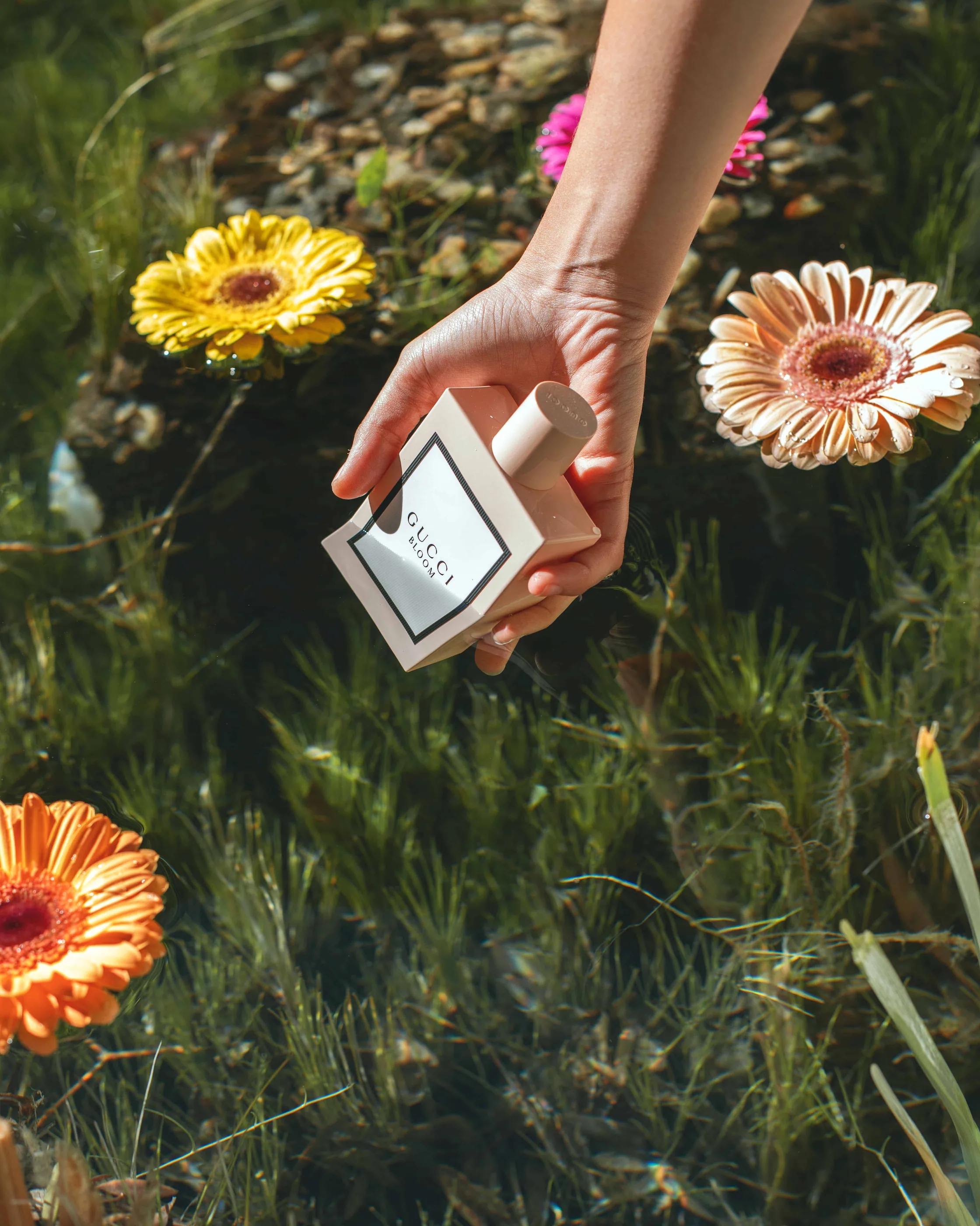 A person holding a small box in a field of flowers