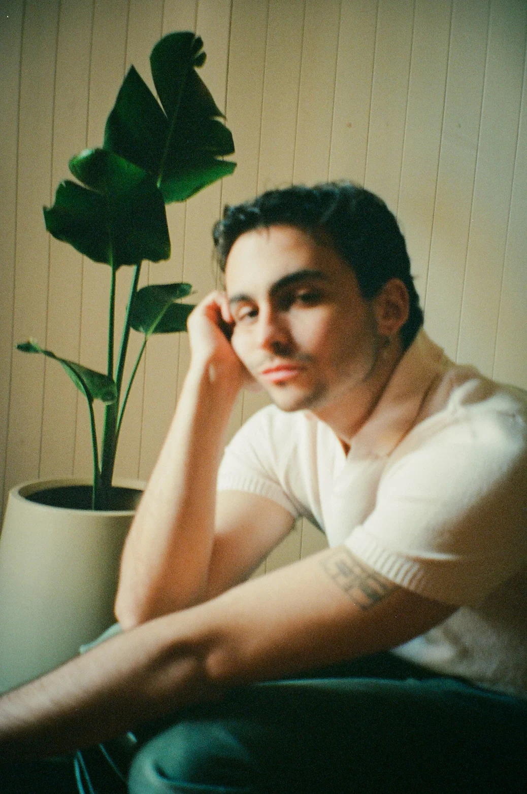 A man sitting in front of a potted plant