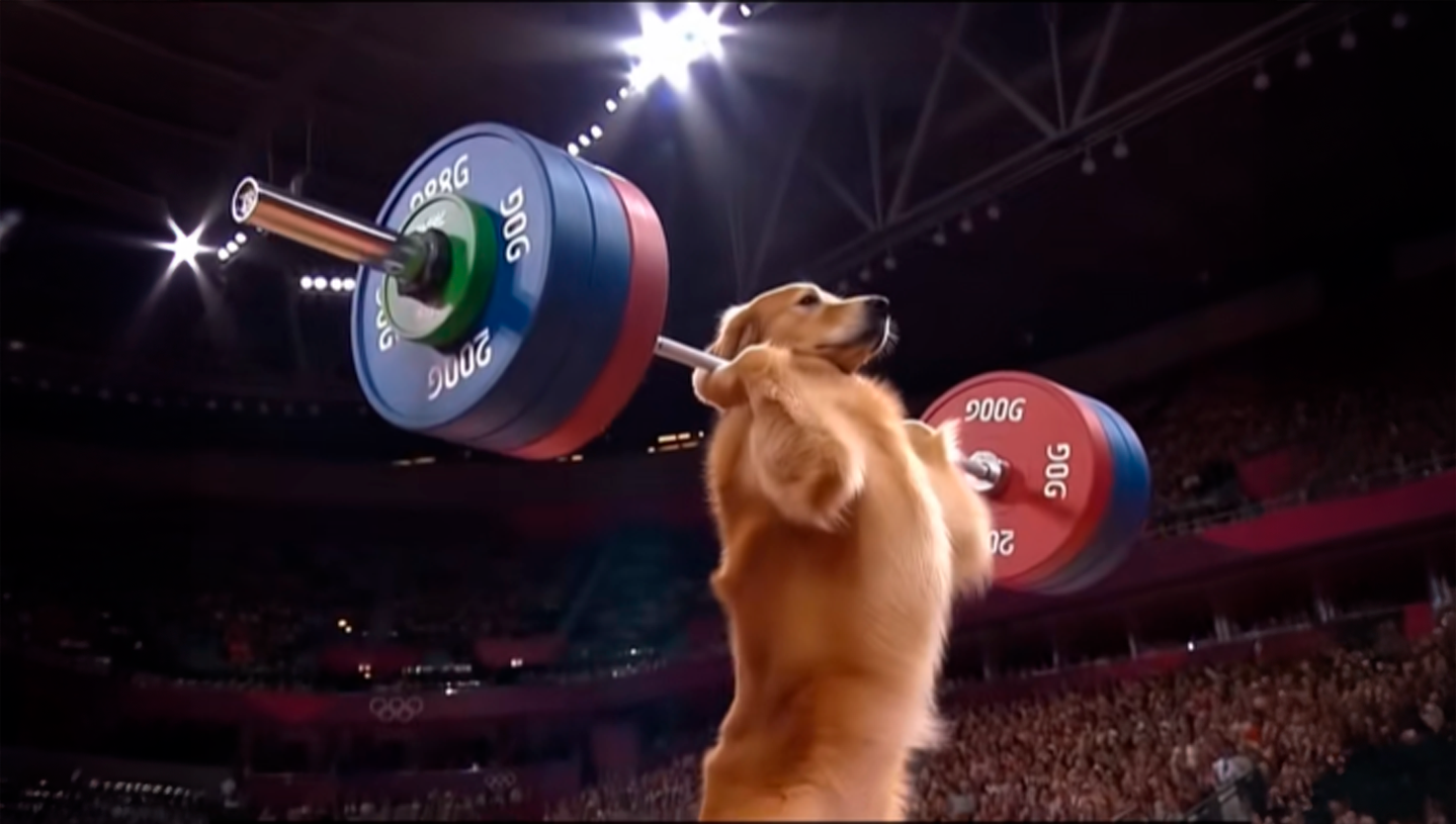 Cover Image for Scientific Community Left Reeling by Viral "Canine Olympics" Feat