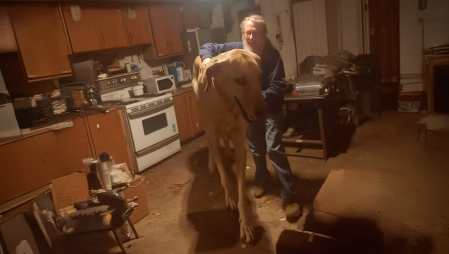 Cover Image for Viral "World's Largest Dog" Sparks Debate: Illusion or Reality?