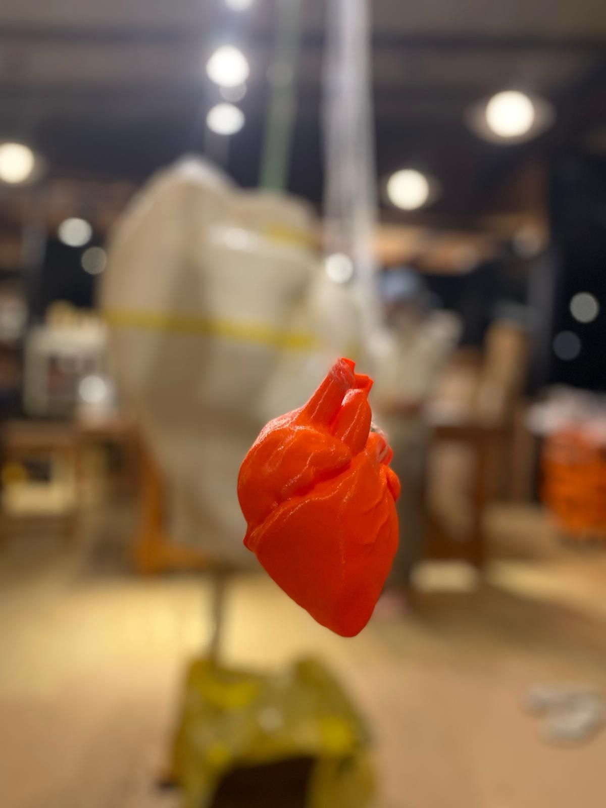 impresion 3d minuatura y el corazon real atras