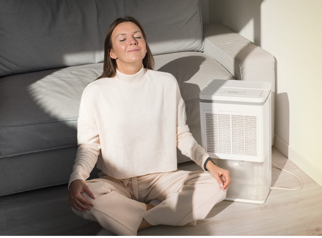 The Best Air Purifier for Home: Top Picks from Levoit, Dyson, Shark, Blueair, and Honeywell for Cleaner Air Today