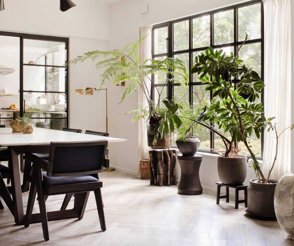 7 Powerful Benefits of Adding Indoor Plants to Your Space (Transform Your Home and Well-Being)