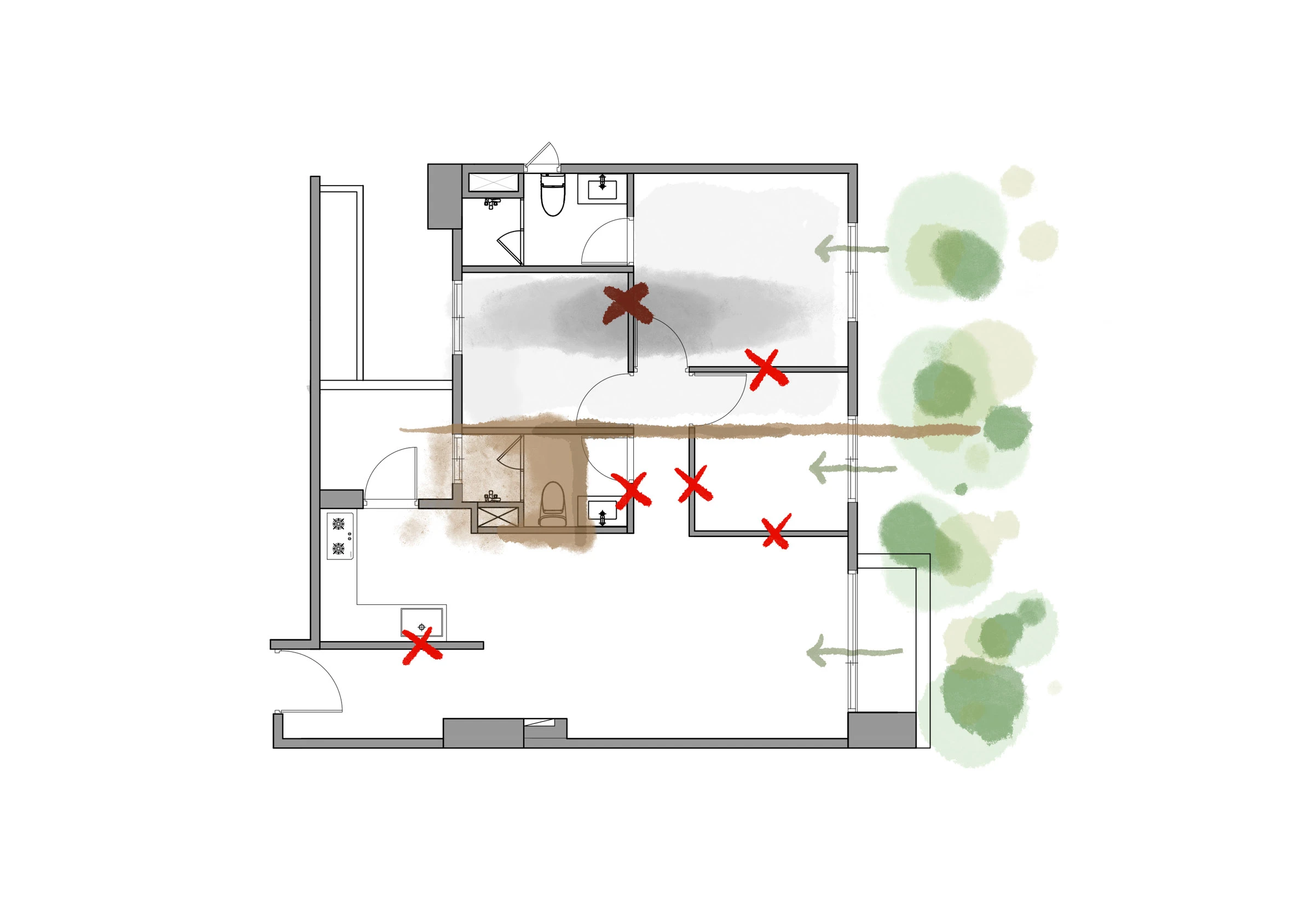 Home Mold Test Kit: How to Test for Mold at Home Step-by-Step