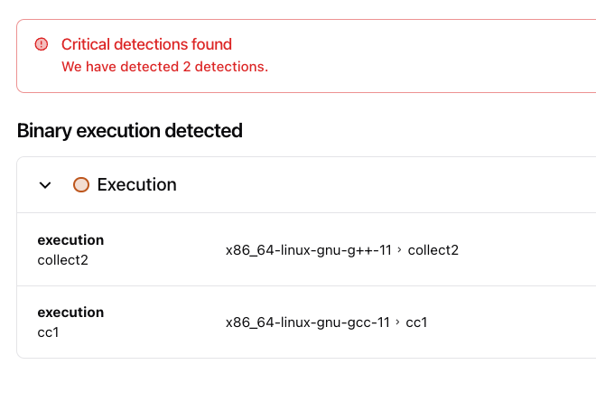 New Detections: Binary Execution