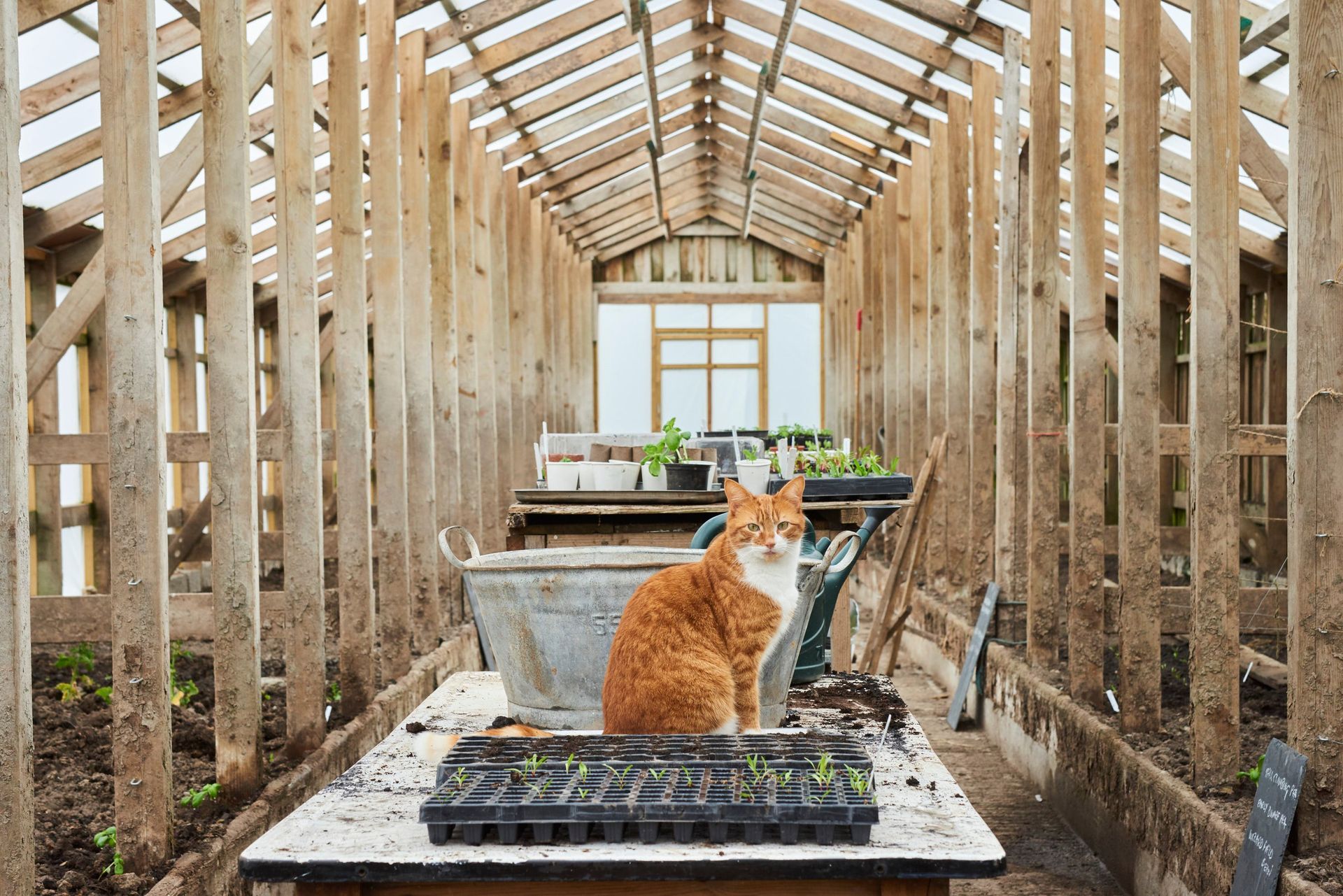 Coombeshead_Farm_27