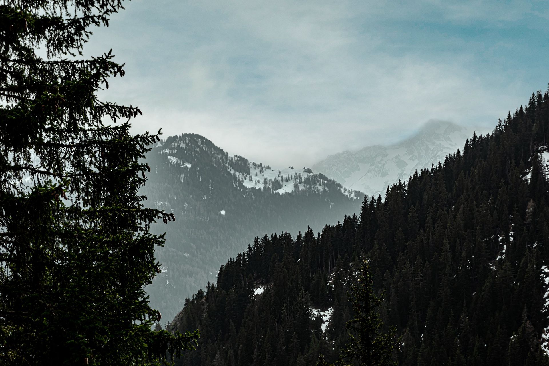 Chalet Experimental Verbier_4