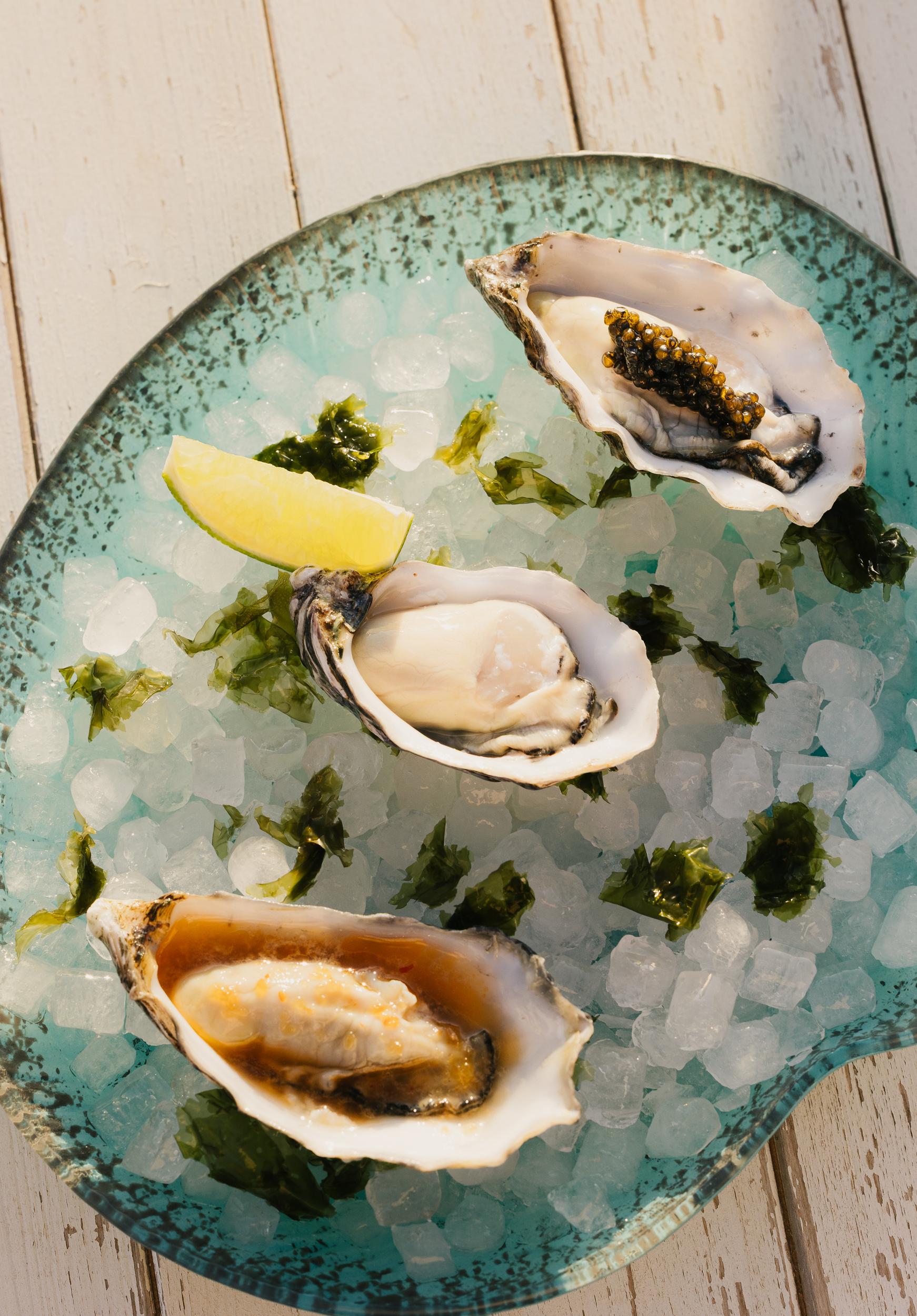 Petunia Ibiza_Restaurant. Oysters