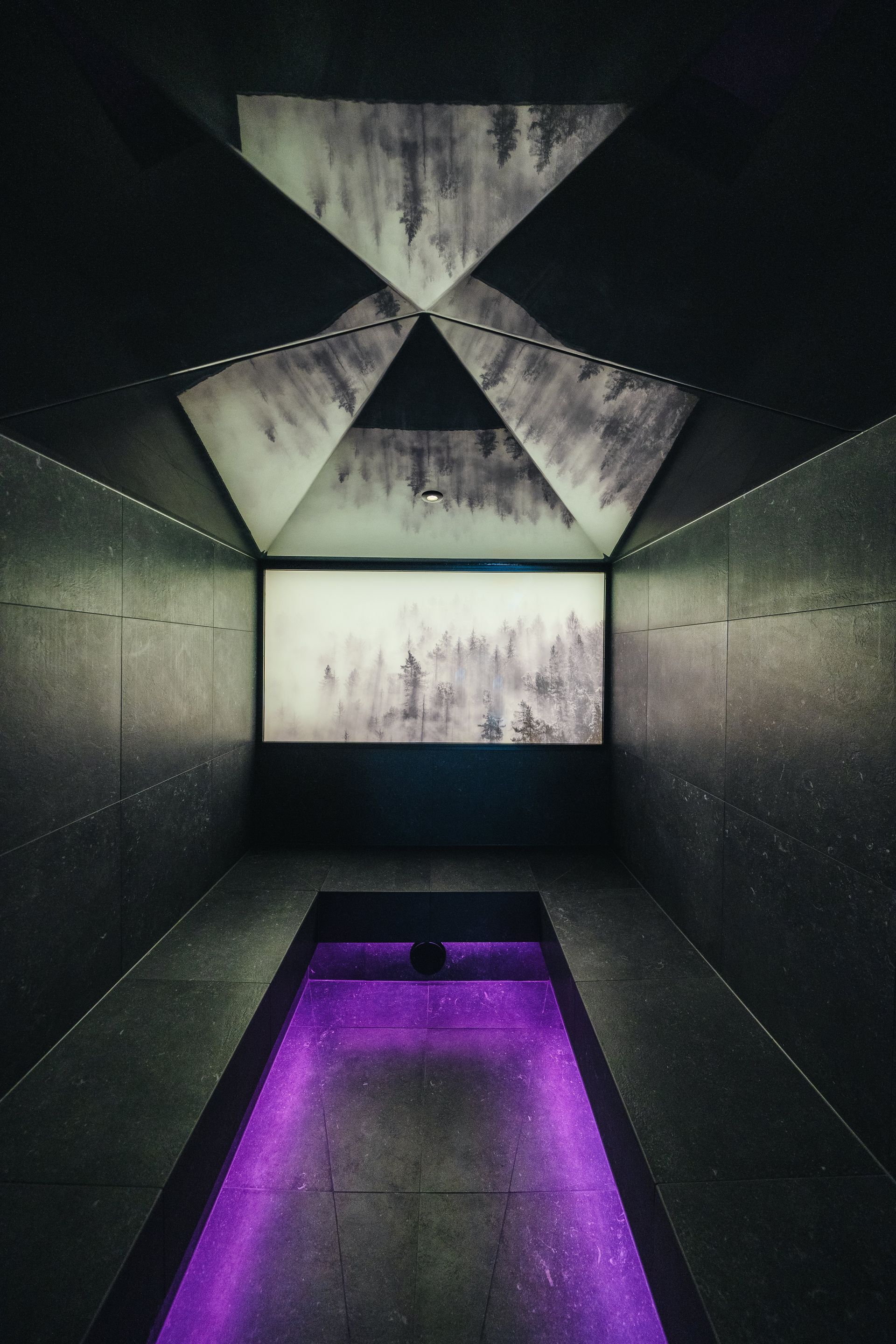 Arpuria indoor pool purple light