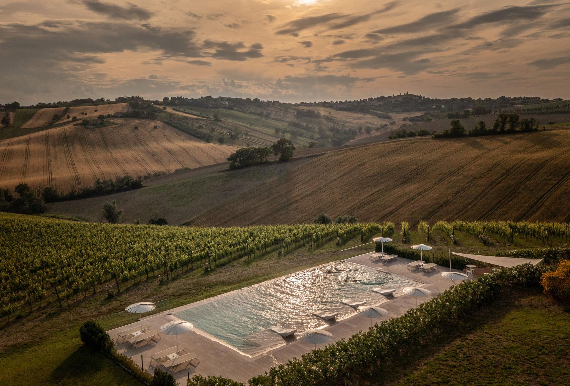 Filodivino