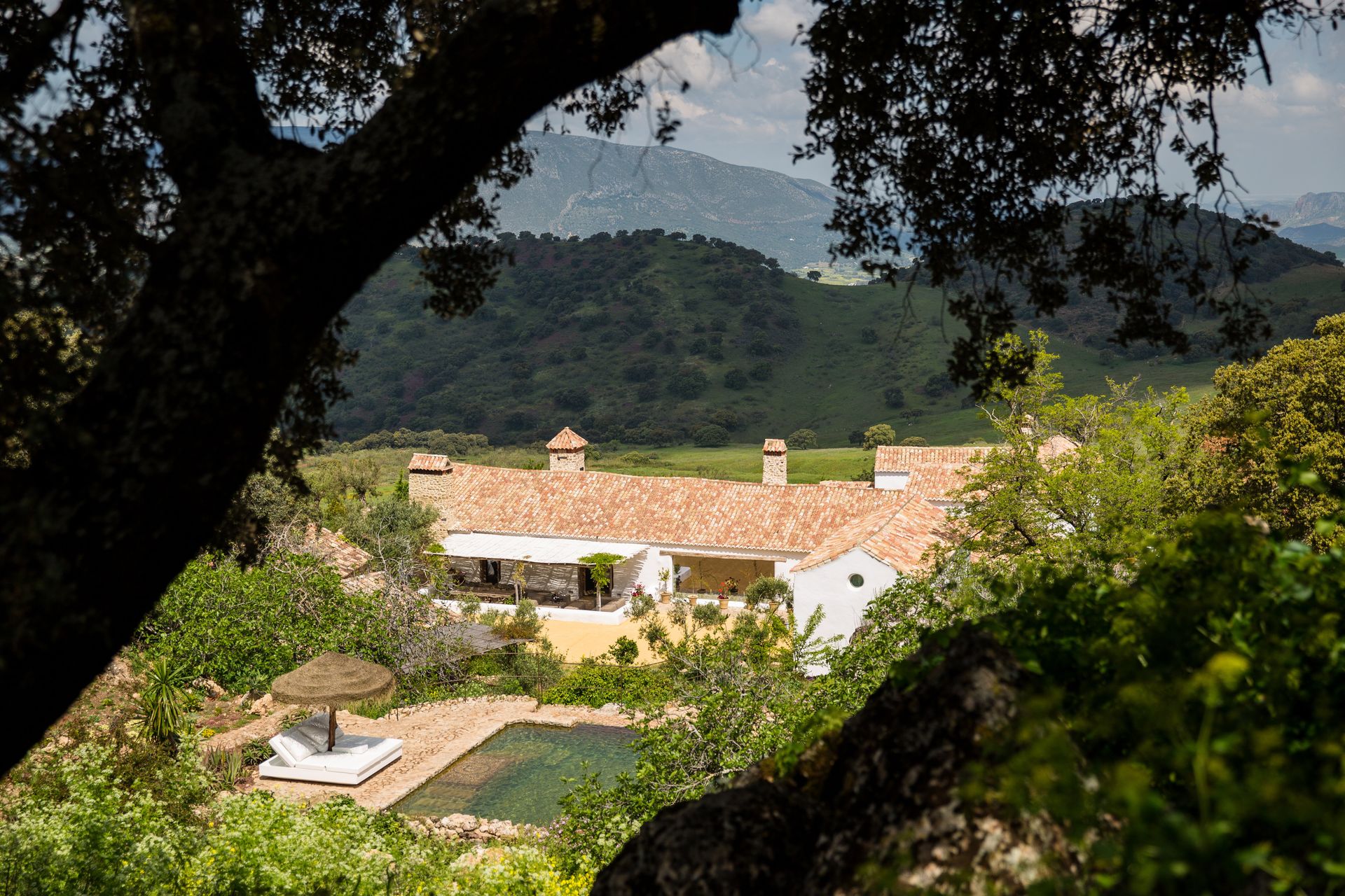 Finca La Donaira