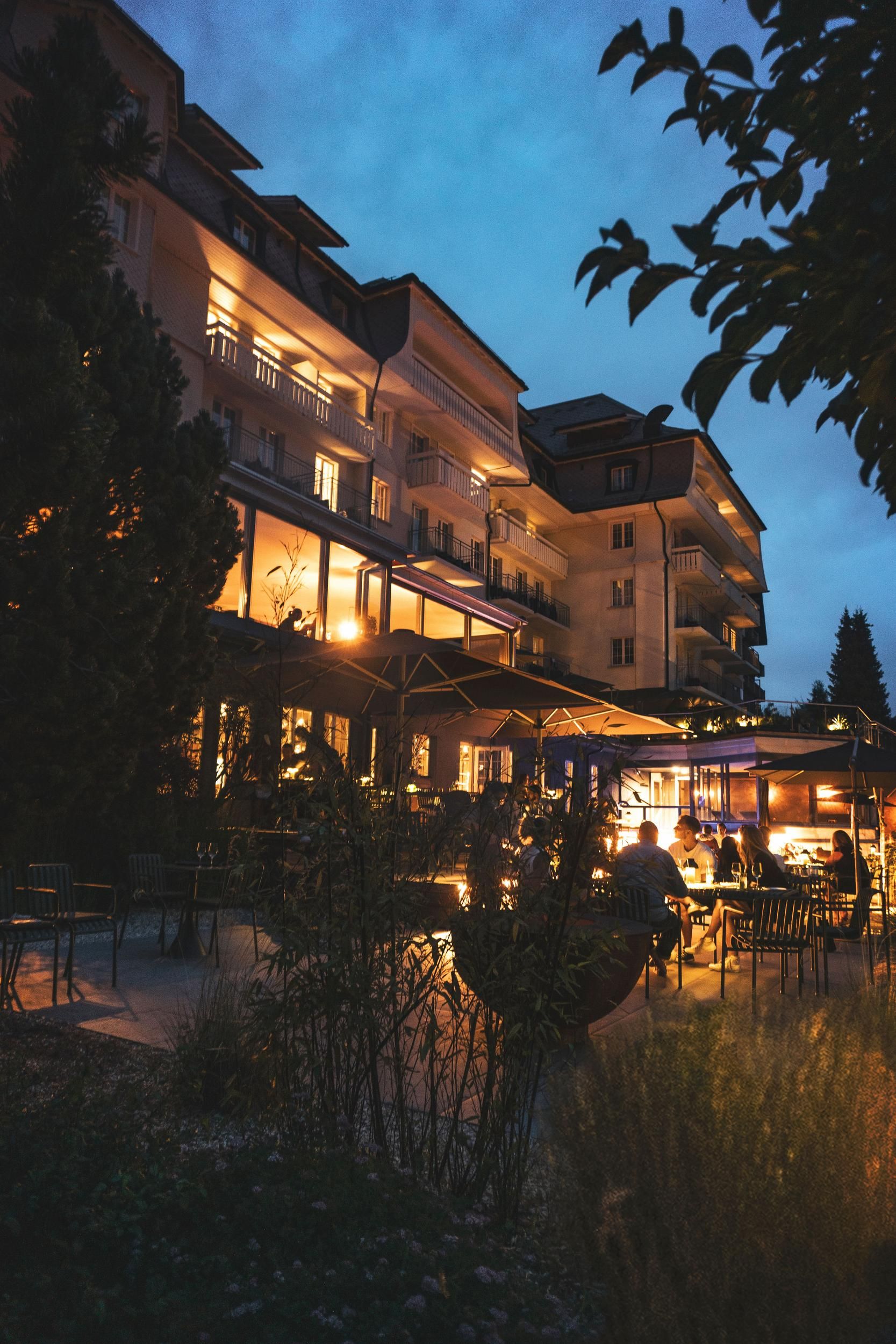 The Cambrian summer terrace
