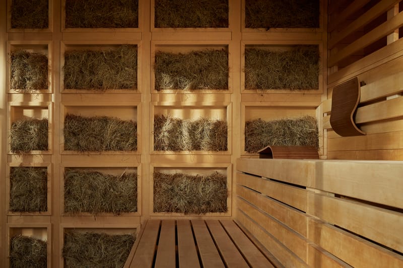 The Best Alpine Hotels For Fall