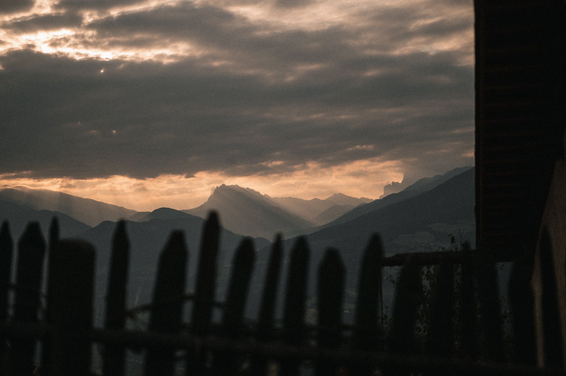 Felder Alpin_5