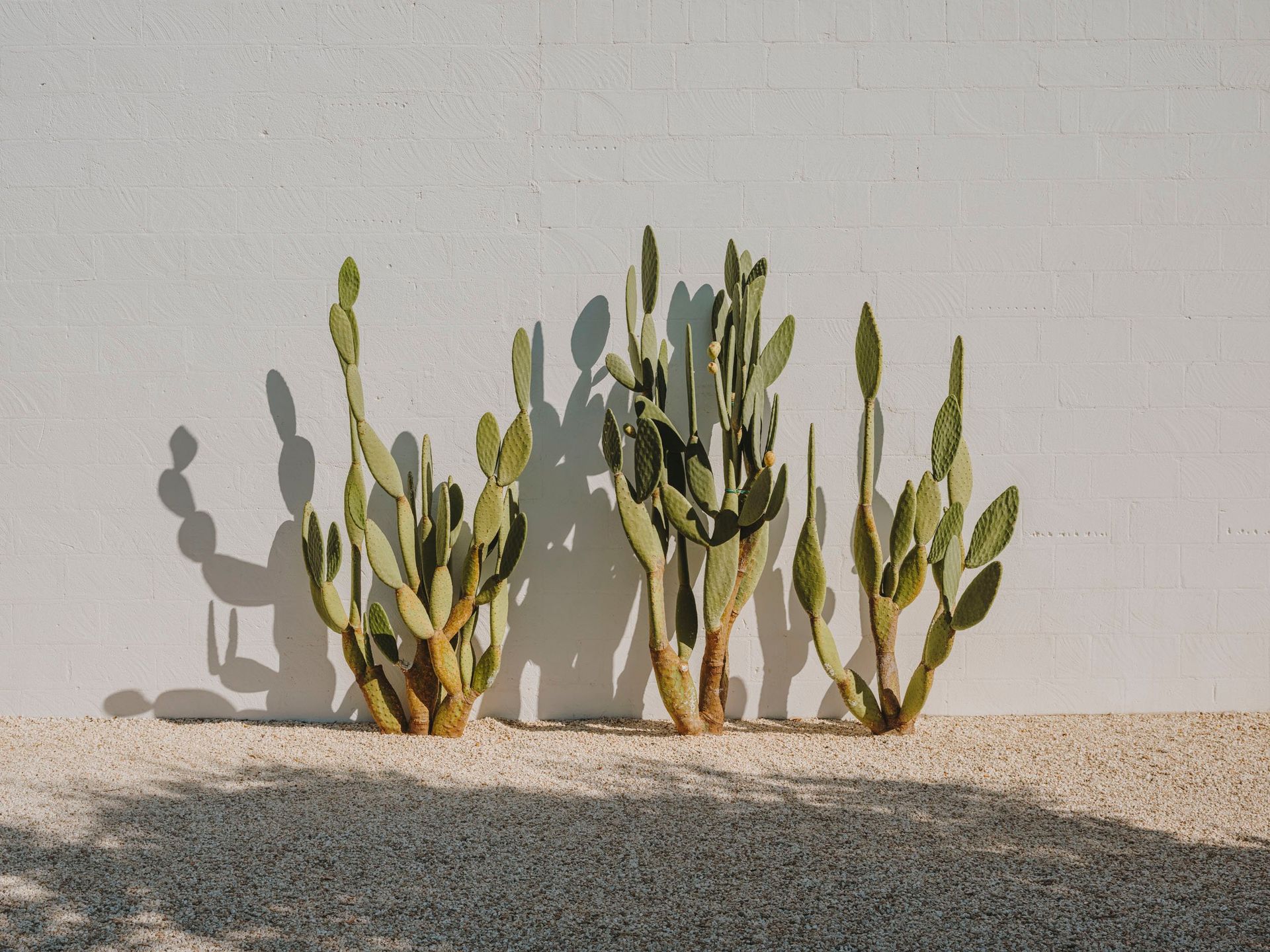 Masseria Moroseta_19
