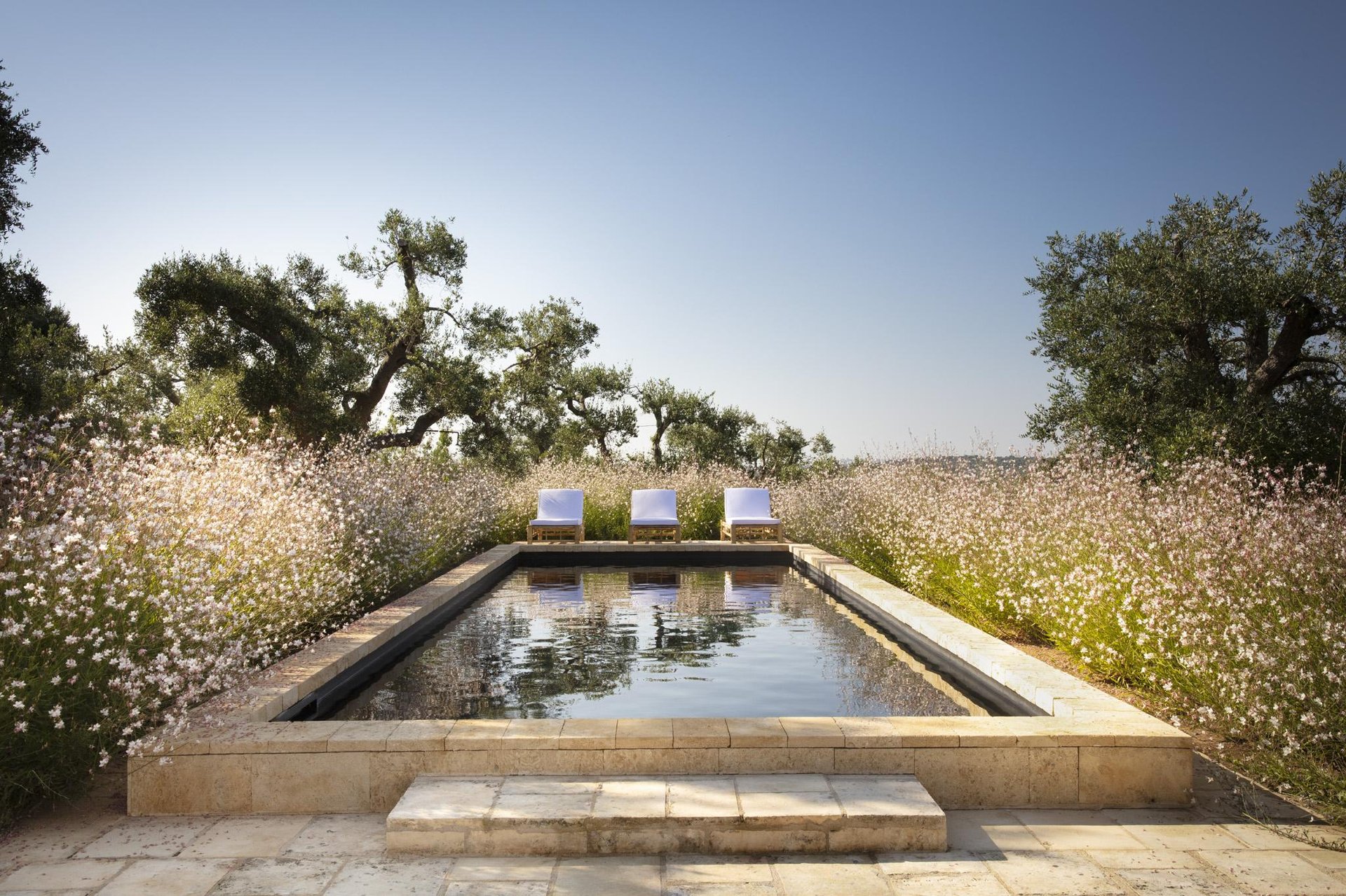 Casa Olivetta poolside
