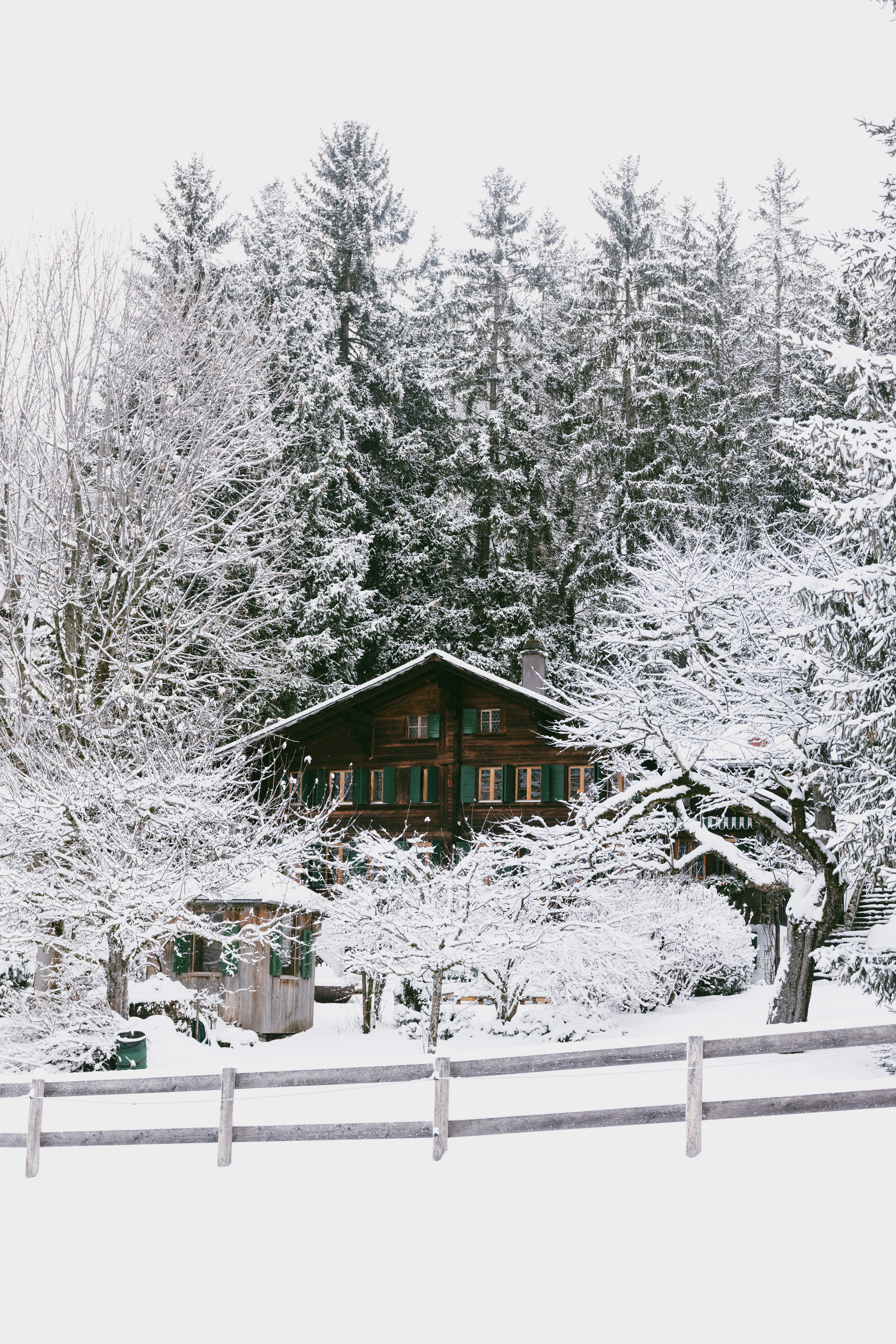 Le Chalet Saanen - Image 11