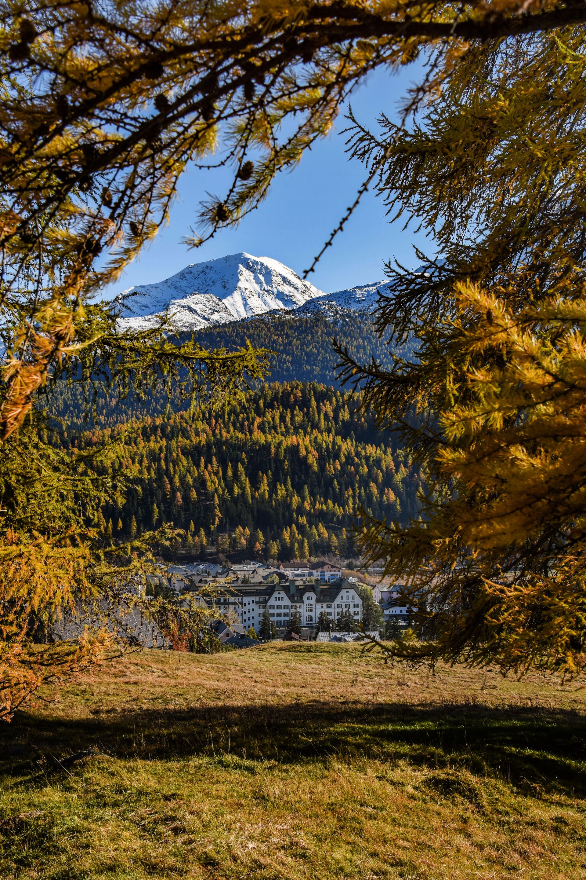 Cresta Palace Celerina - Image 4