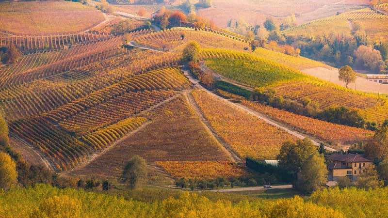 Our Favourite Destinations For November