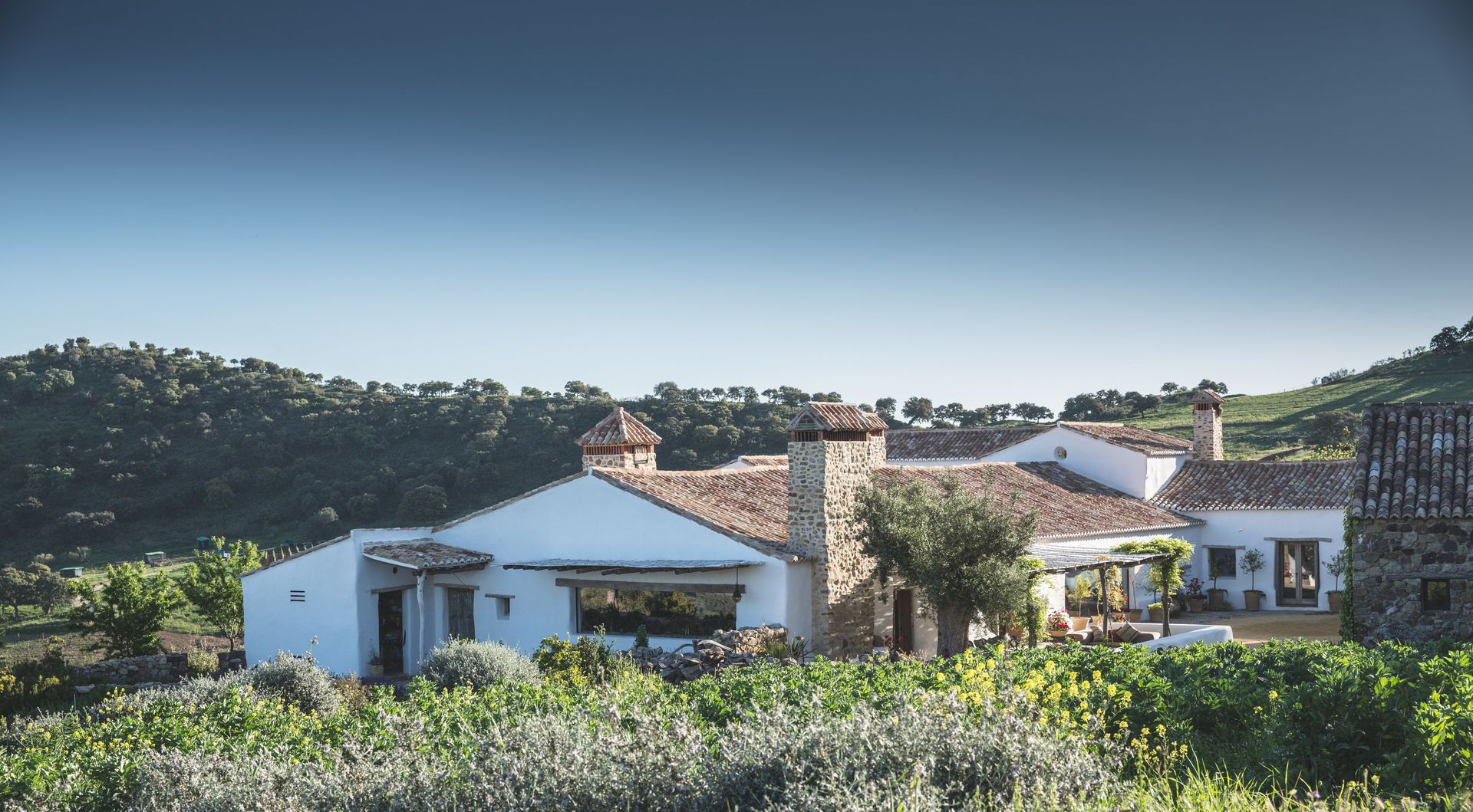 Finca La Donaira_new_1