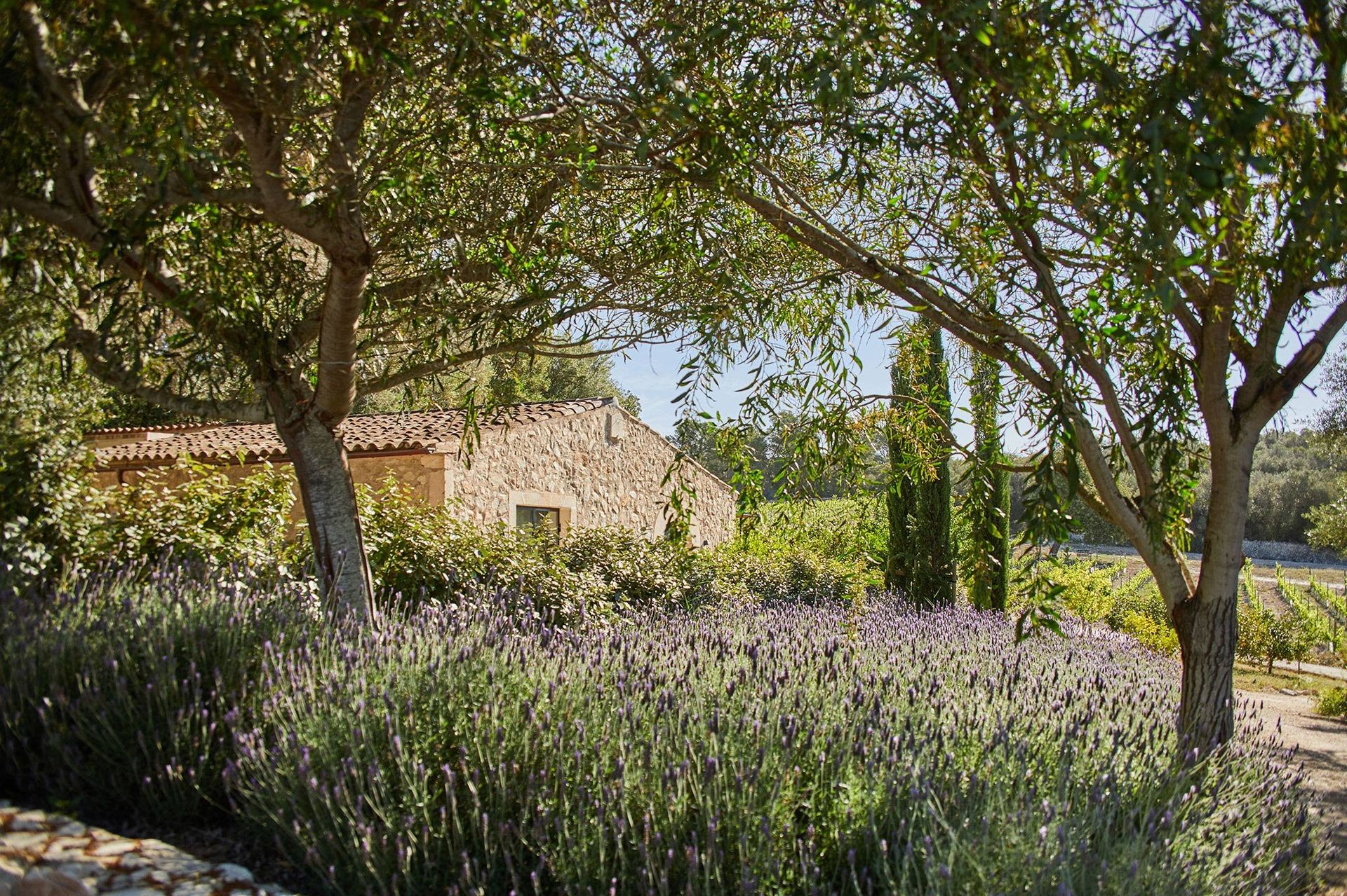 Finca_Serena_12