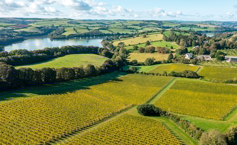 Where To Stay, Eat, Drink and What To Do In Totnes