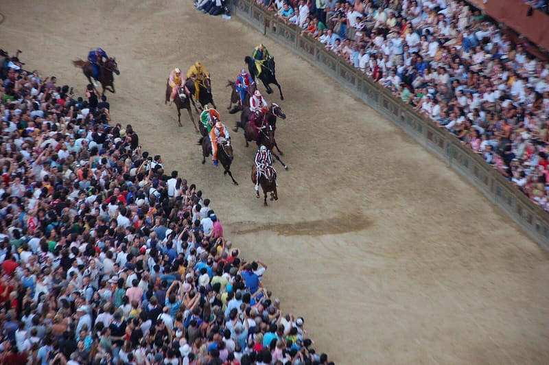 A Curator's Guide To Siena