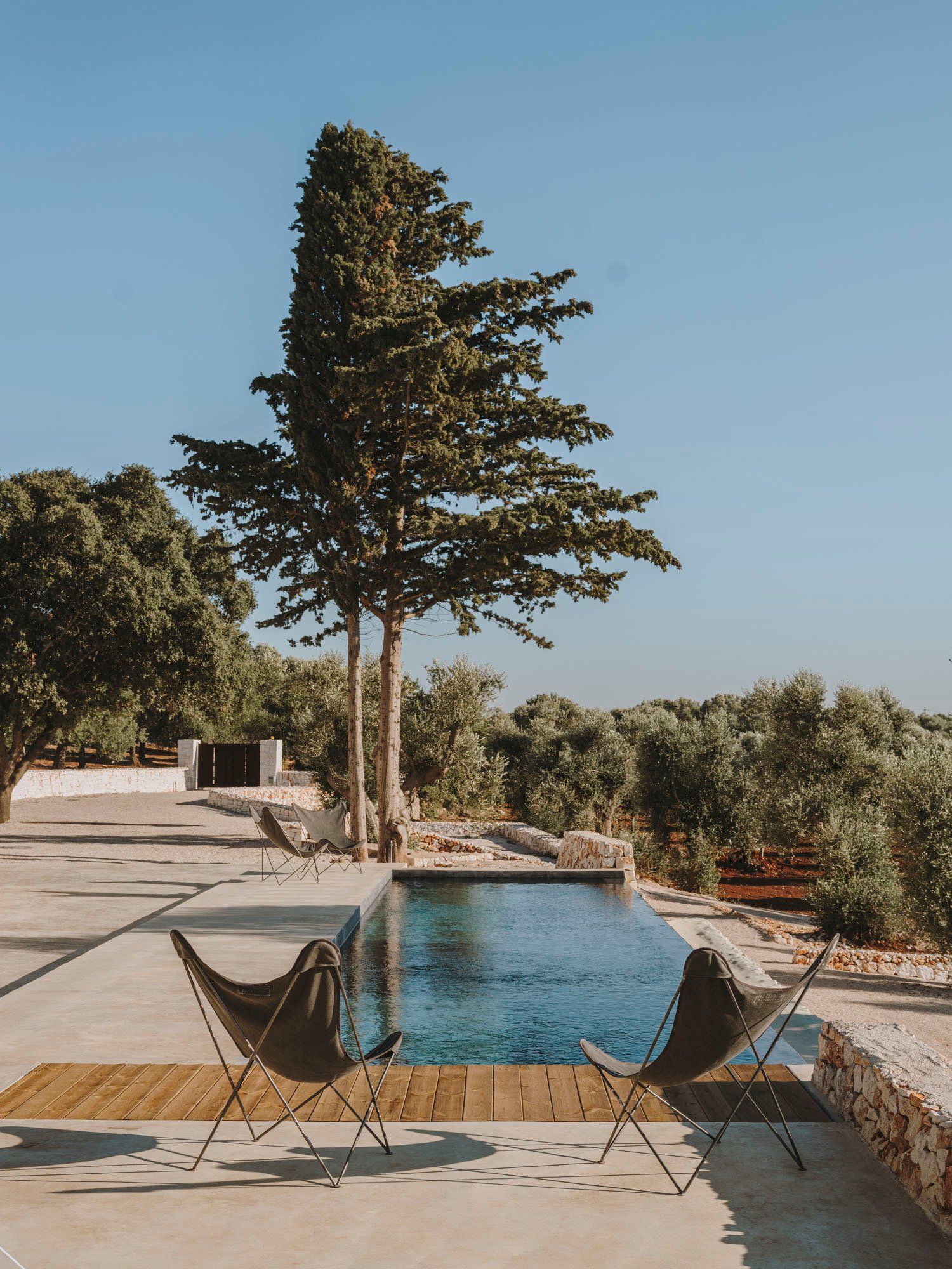Tenuta_Masseriola_24