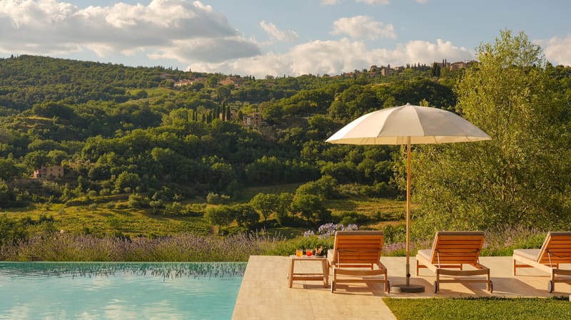 Lupaia_pool_header. March 2025