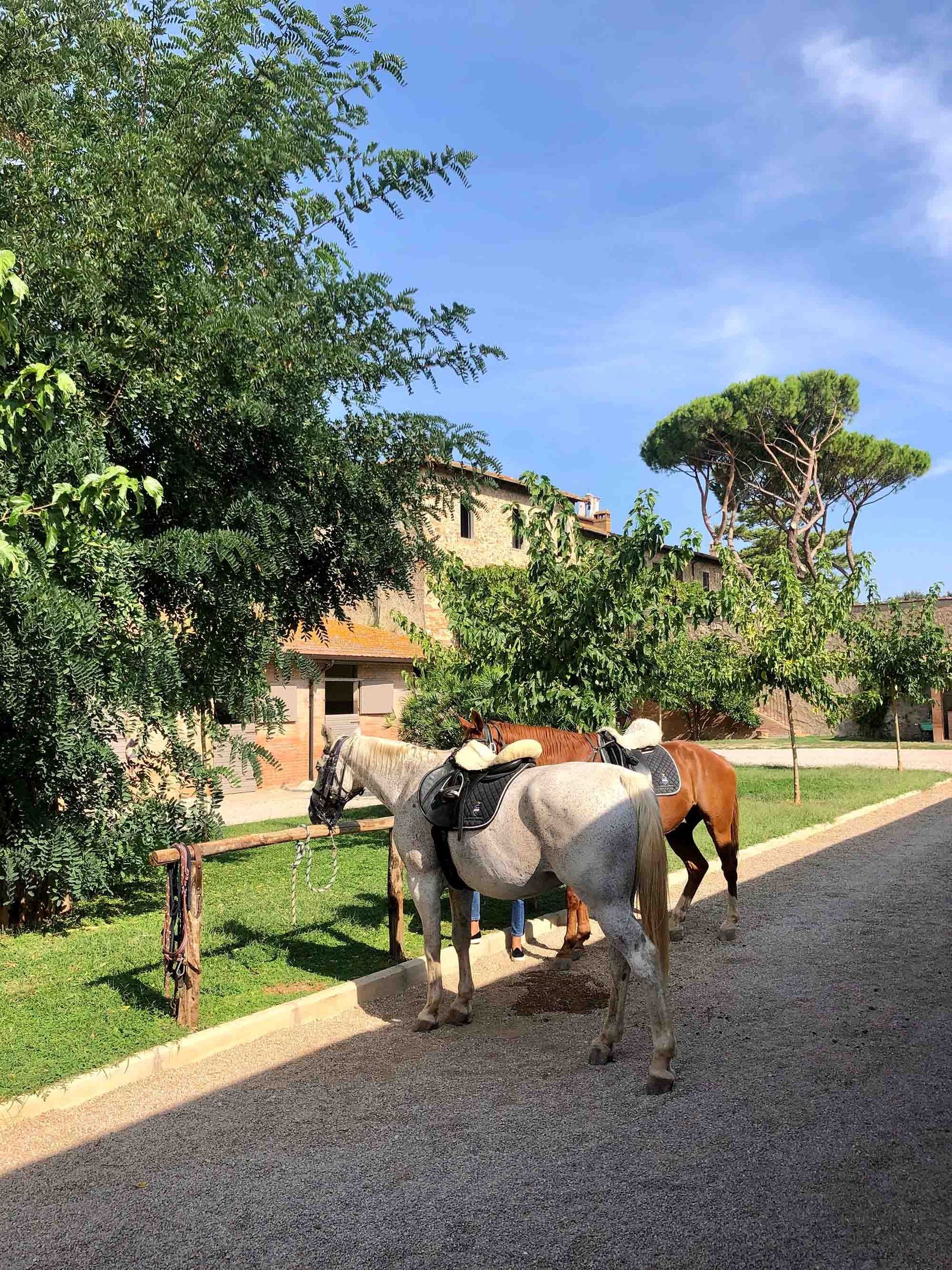 La_Pescaia_18
