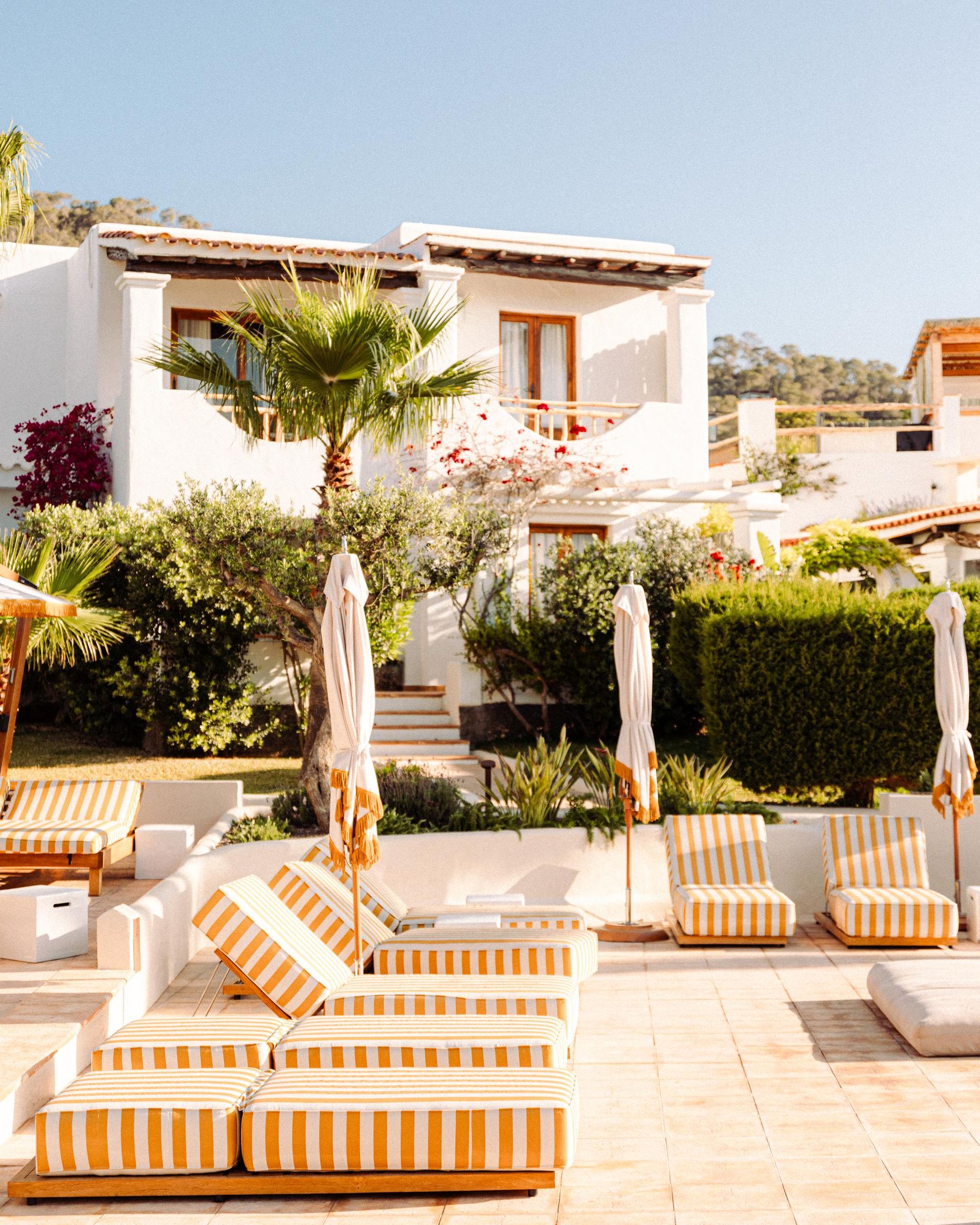 Petunia Ibiza. Sunbeds