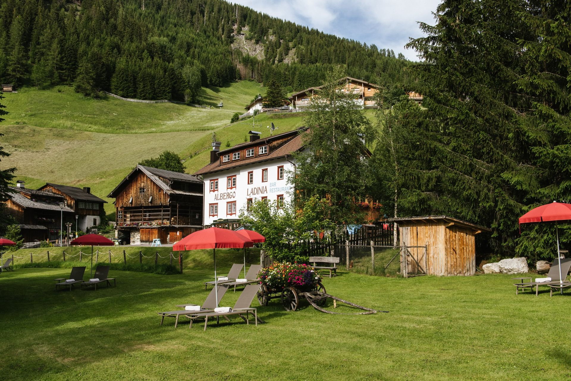 Berghotel Ladinia nature sunbeds around