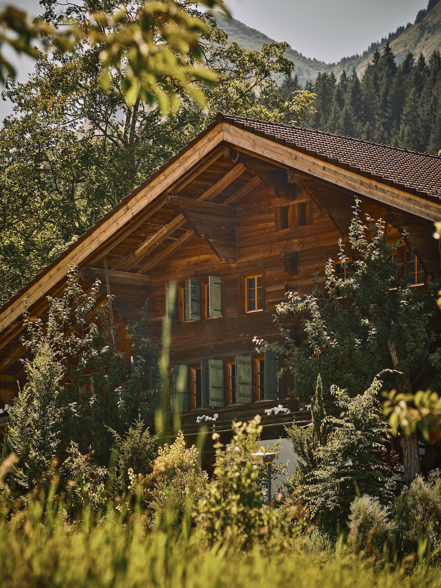 Le Chalet Glacier - Image 19