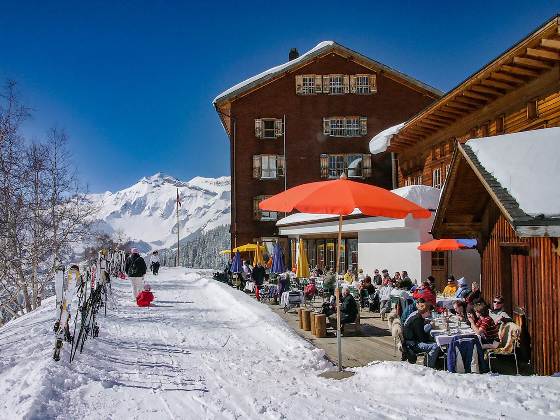 Where To Go In January