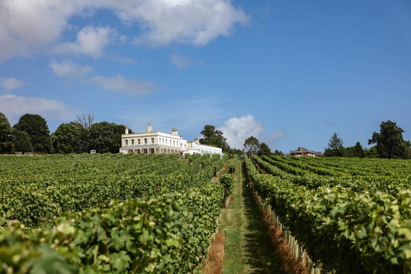 The Best English Vineyards To Sip And Sleep At