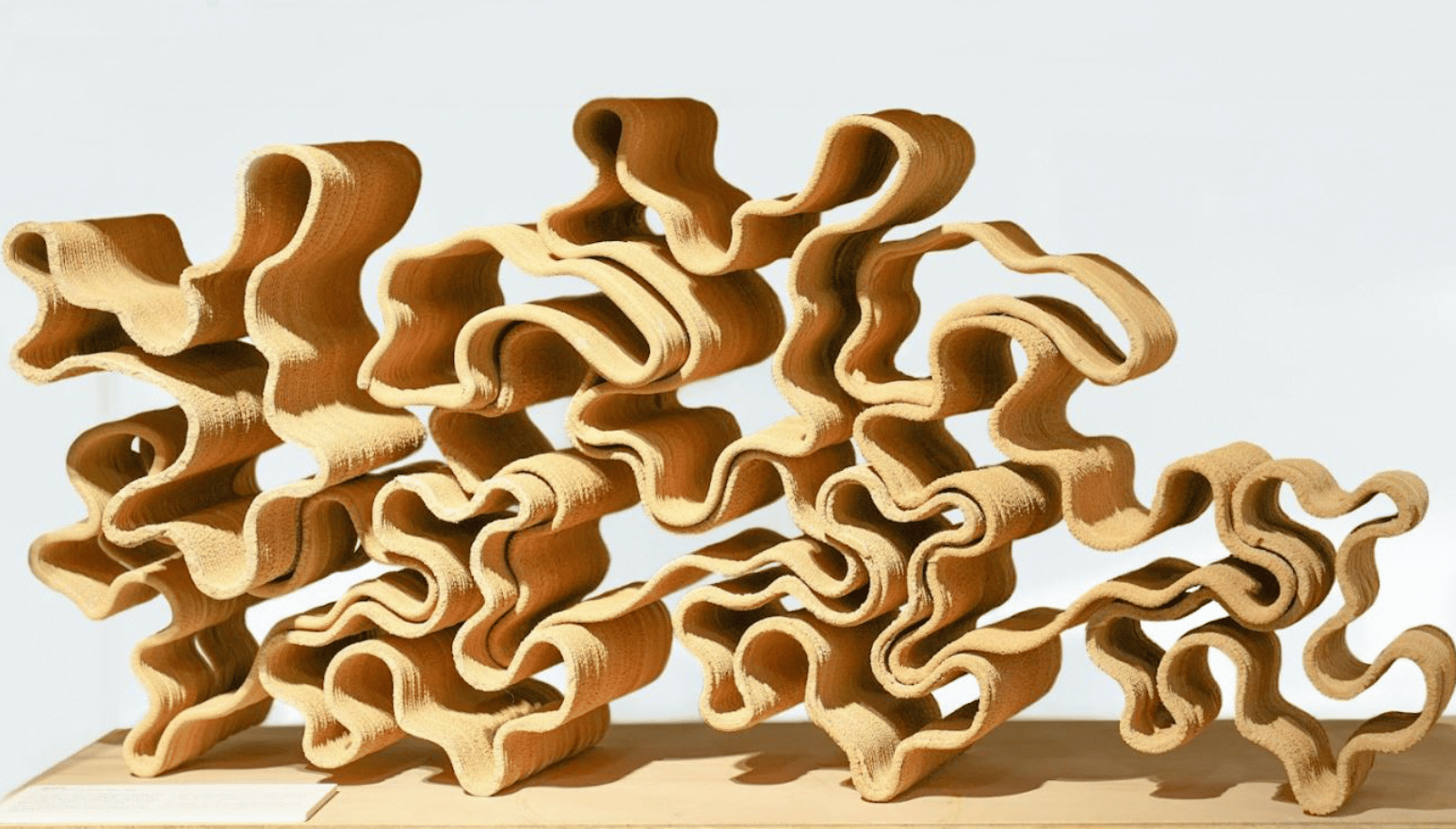 Reefy by Lowlit collective