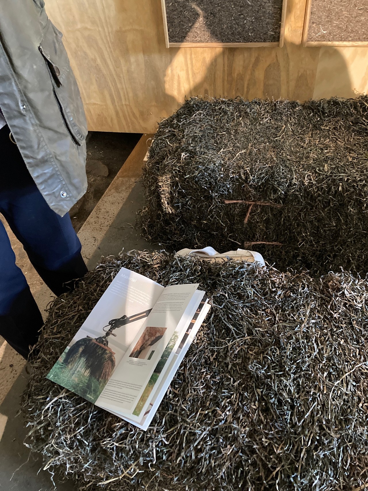A heap of dried seagrass