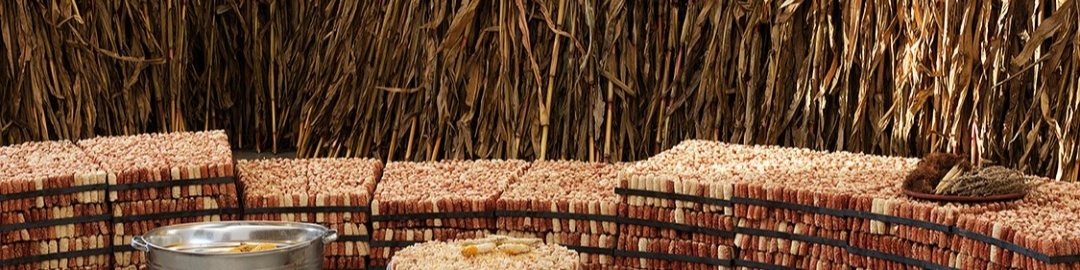 Ximena Garrido-Lecca <Inflorescence>