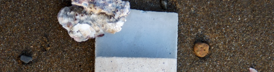 미카오션스 그린쉘 타일