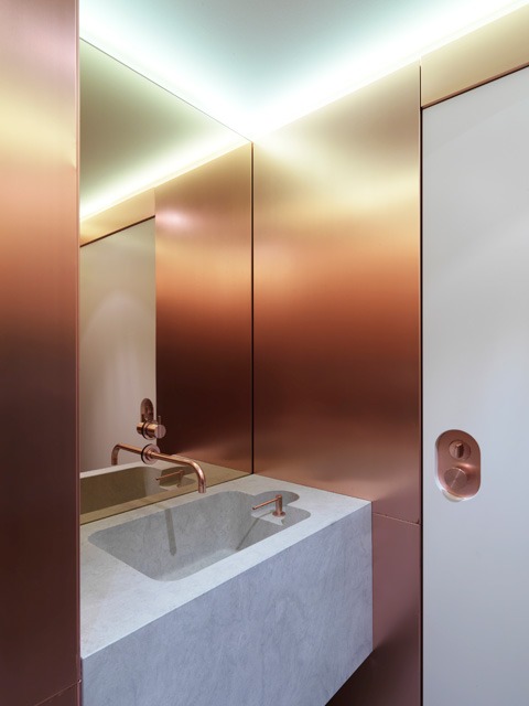 Rose gold stainless steel applied to a bathroom wall